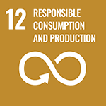 12 Ensure sustainable consumption and production patterns